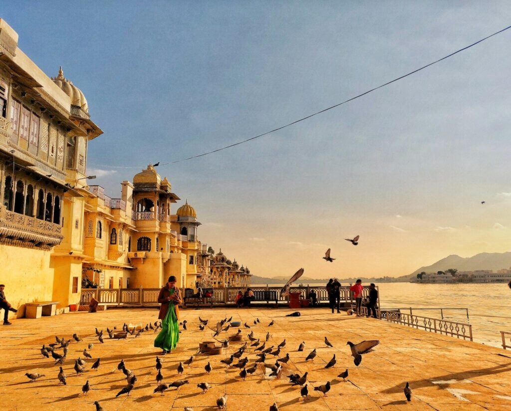a group of birds gather by a building