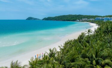 A beach with palm trees and a white sand beach