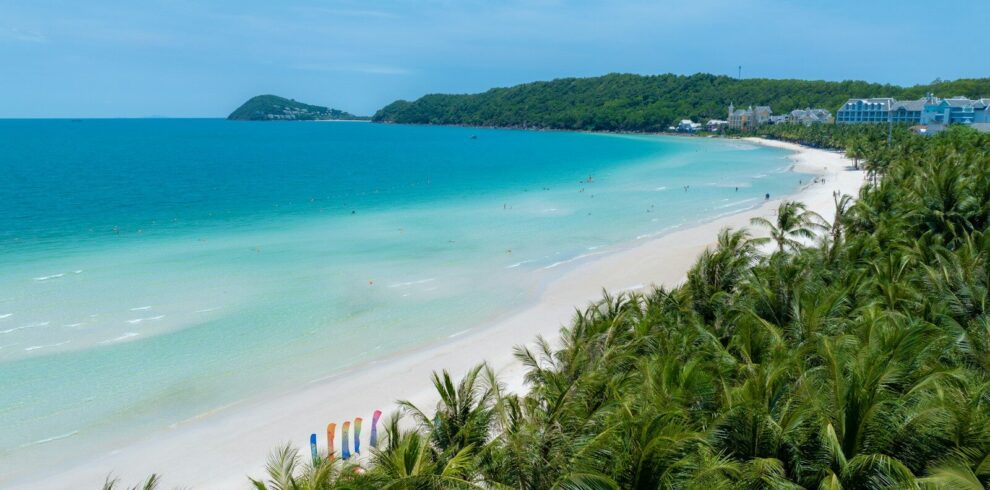 A beach with palm trees and a white sand beach