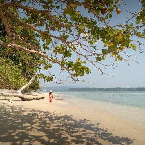 Woman enjoying a serene day at Jolly Buoy Island beach, Andaman and Nicobar, India.