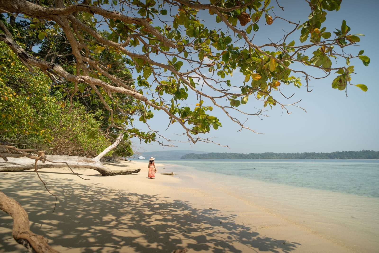 Woman enjoying a serene day at Jolly Buoy Island beach, Andaman and Nicobar, India.