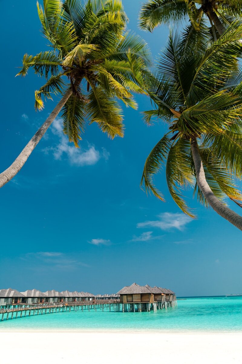 flytoursandtravel