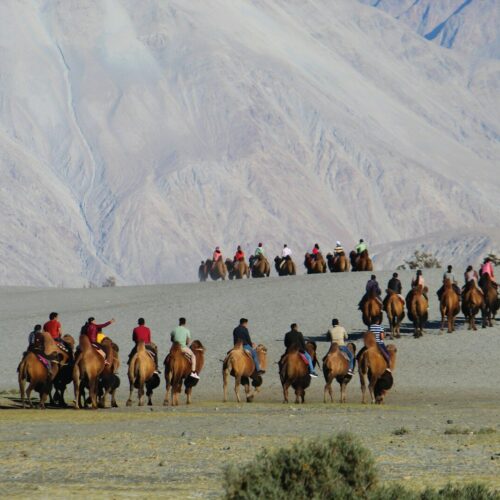 Khardung La – Nubra Valley