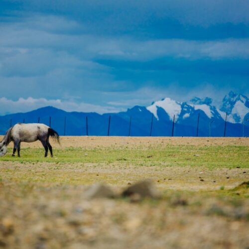 Nubra – Turtuk – Nubra