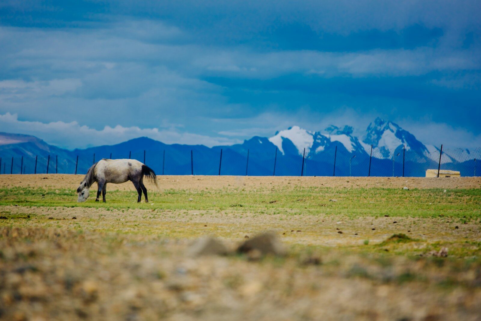Nubra – Turtuk – Nubra
