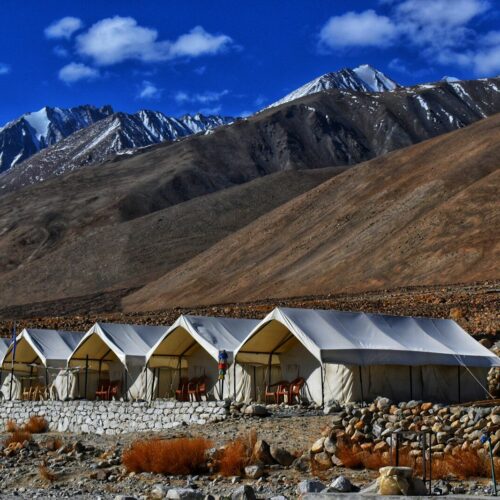 delhi to leh