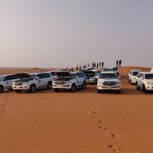 Desert Safari