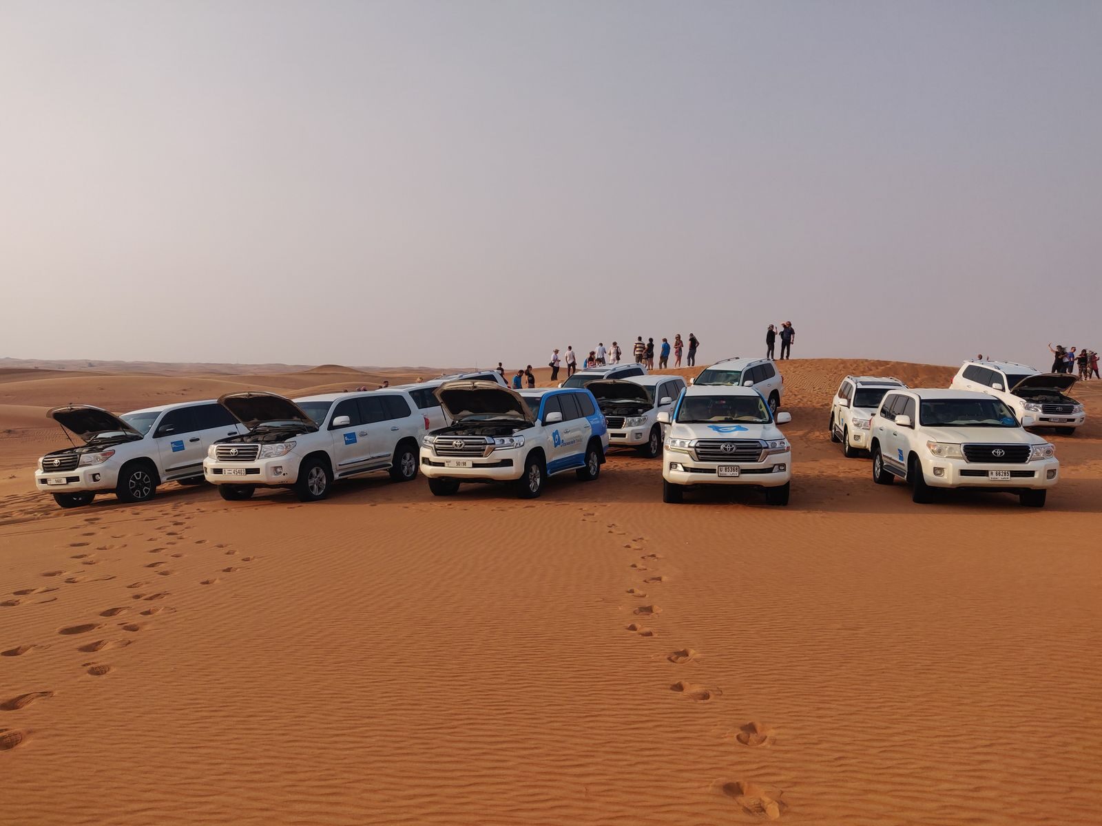 Desert Safari