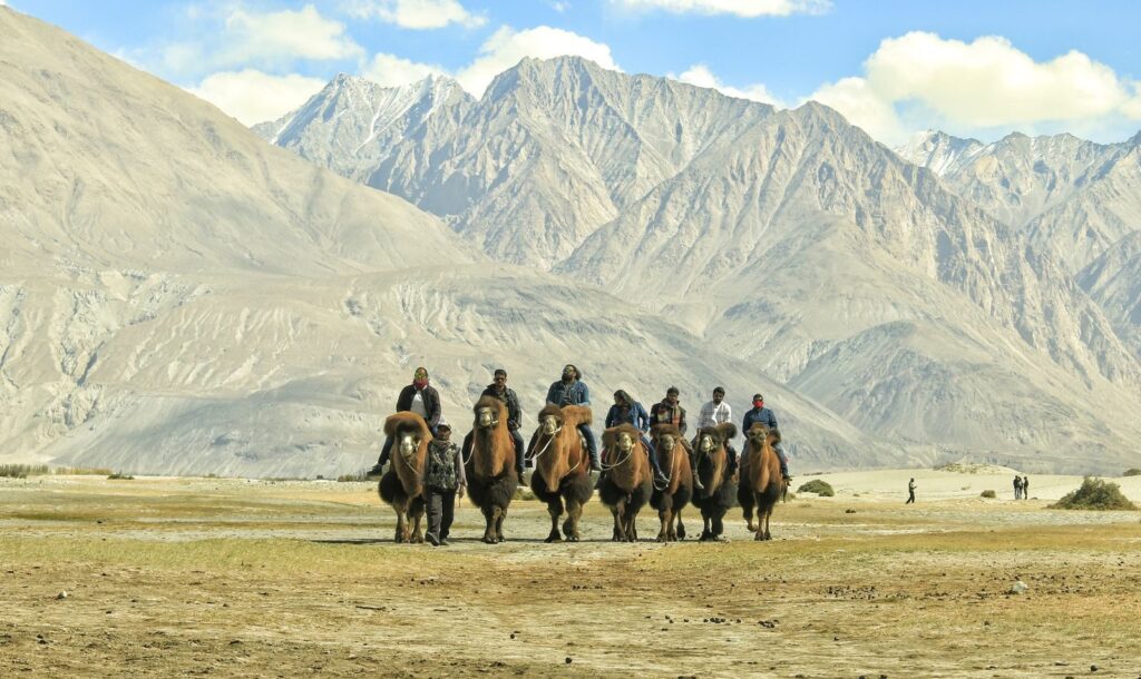 Jeep Safari in Ladakh?