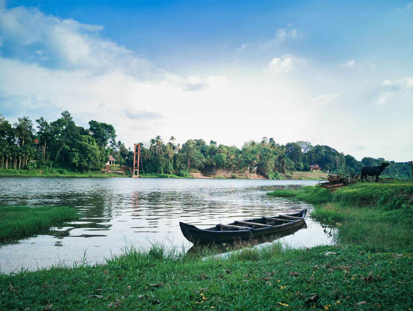 Kerala packages