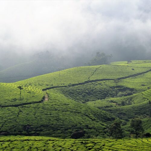 Munnar
