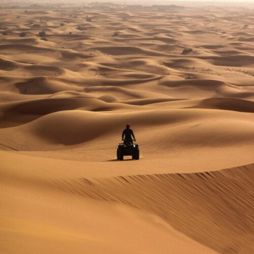 Desert Safari