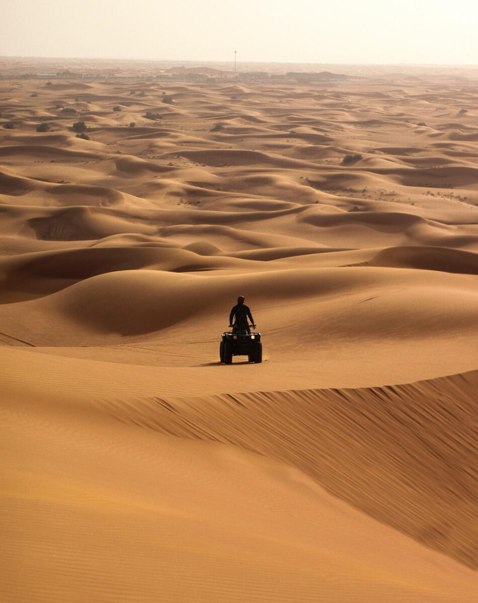Desert Safari
