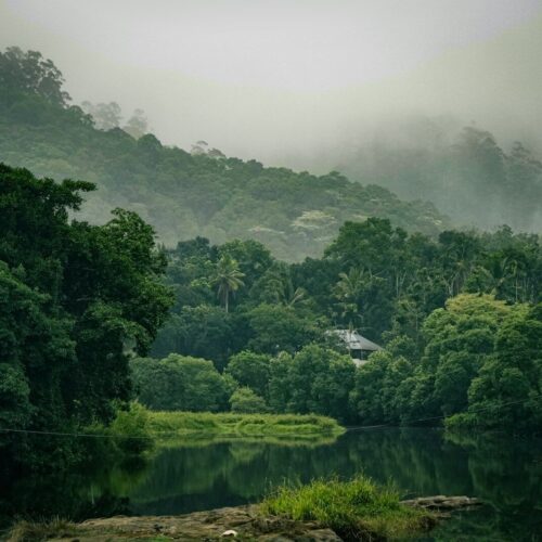 Thekkady