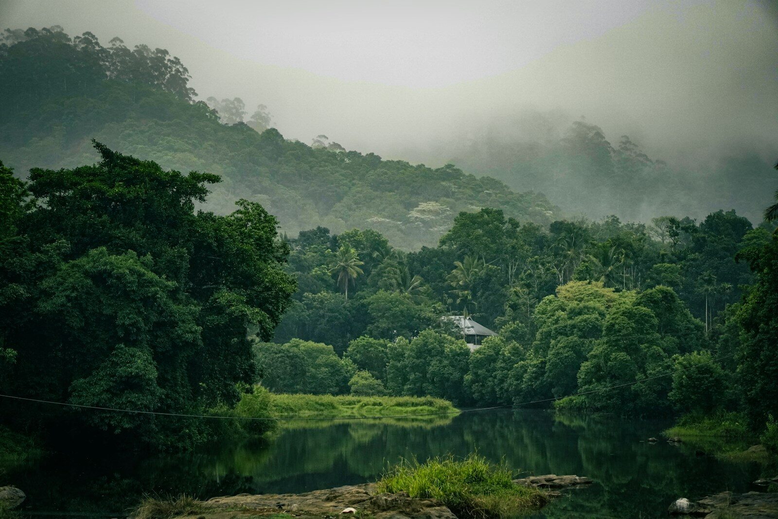 Thekkady
