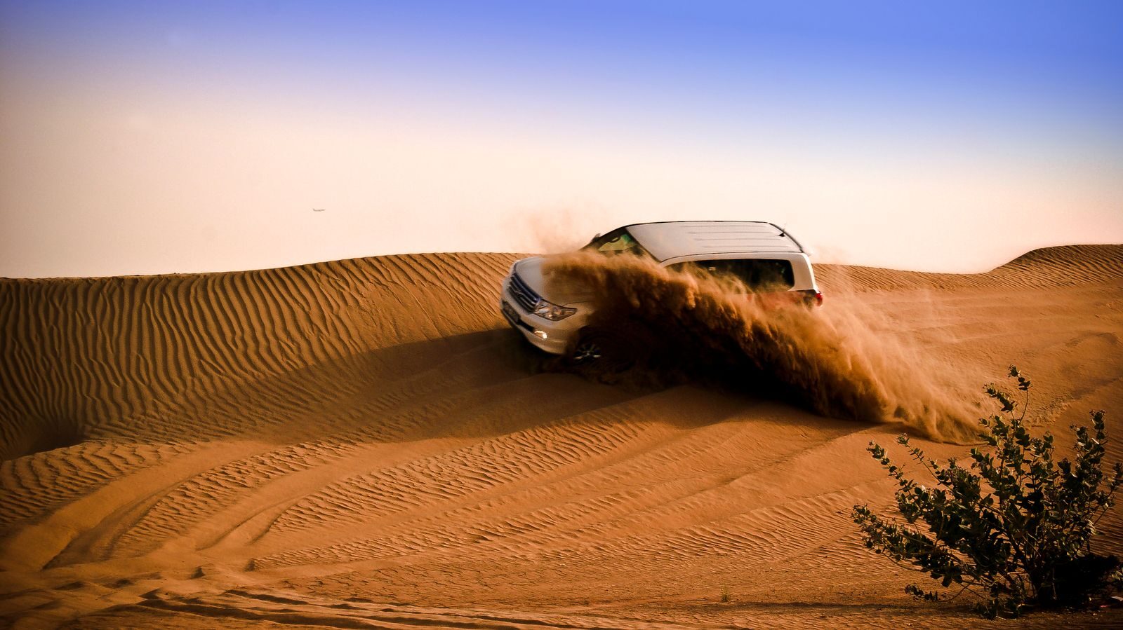 Desert Safari dubai