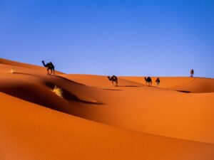 Desert