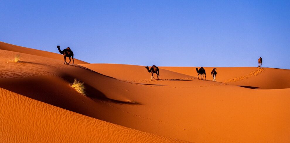 Desert