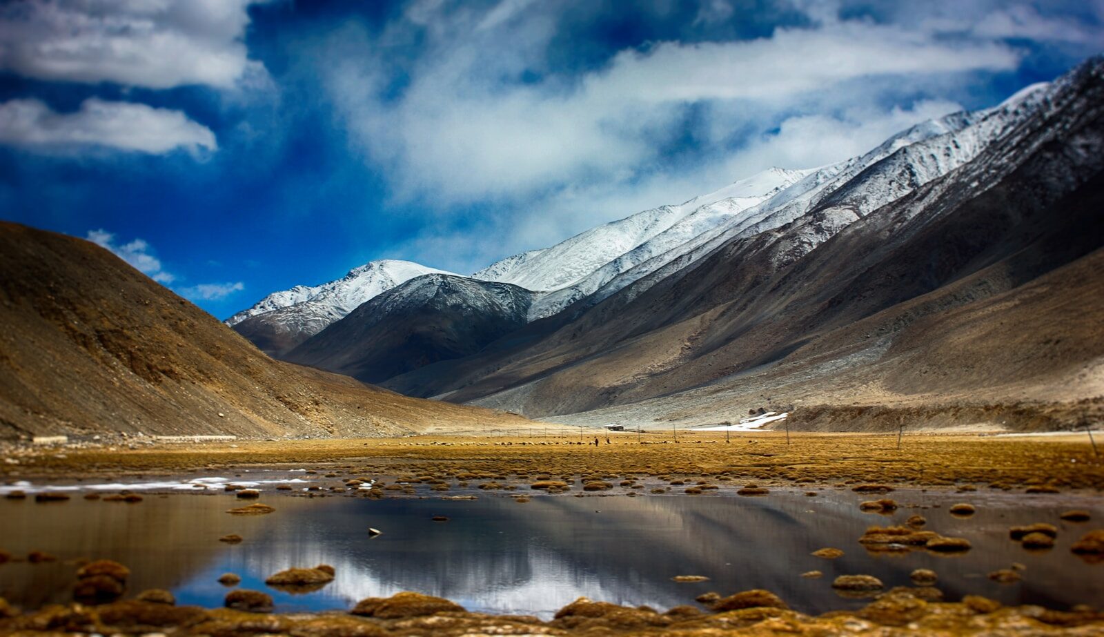 All-in-One Guide to Jeep Safari in Ladakh: Best Time, Routes & Major Information