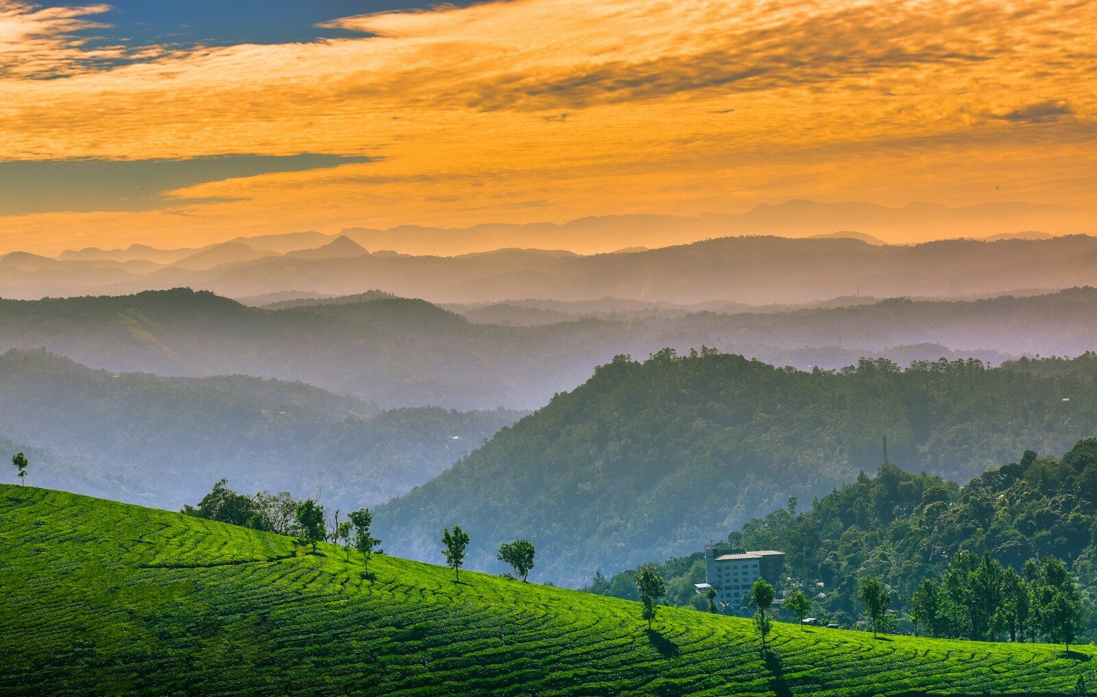 Munnar Sightseeing